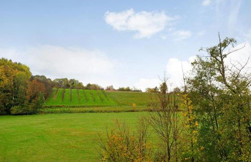 Schwarzwaldtani - Dörfle - Foto 11