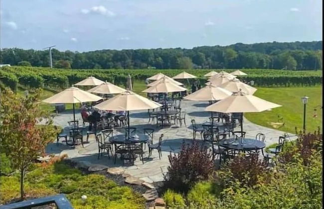 Wine Valley Bungalow - Foto 14