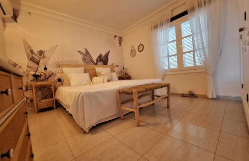 Erizo de mar - Foto 33