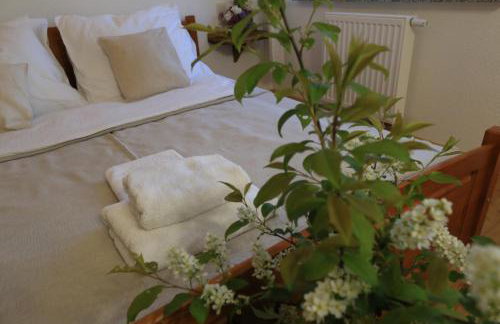 Agroturystyka Sikorki - Foto 17