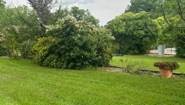 Grange rénovée du XVIIIème siècle - Foto 3, Garden view