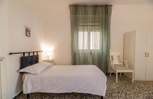 Windrose The Cat - Foto 6