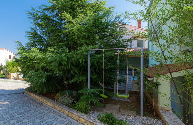 Salamander - Foto 50