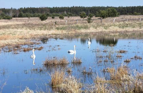 Biały Domek - Foto 11
