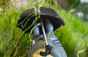 Arbre Blanc, une folie montpelliéraine - Photo 33