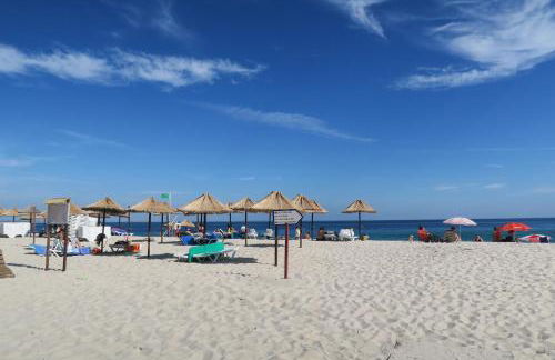 Moinho do Marco - Foto 59