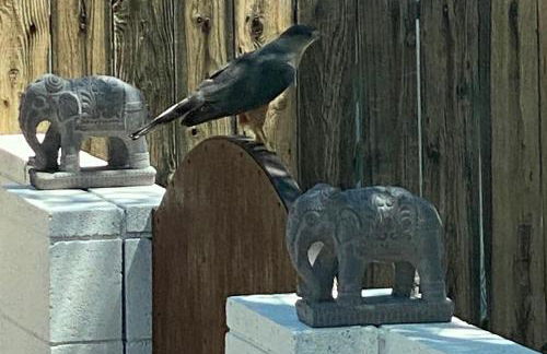 Electroliquid's Casa Pueblo Joshua Tree - Foto 27