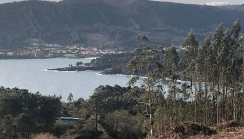 Ático de Carmen - Foto 3