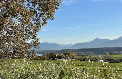 Ferienwohnung Köberich - Photo 33