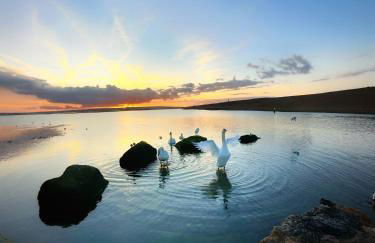 Sea Walk Cottage, Milford On Sea - Photo 40