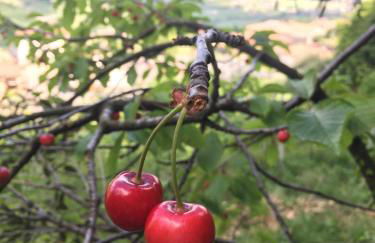 Corte 40 Rooms - Foto 10