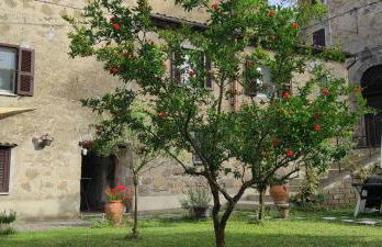 Casa Biscarello - Borgo e Lago - Foto 9