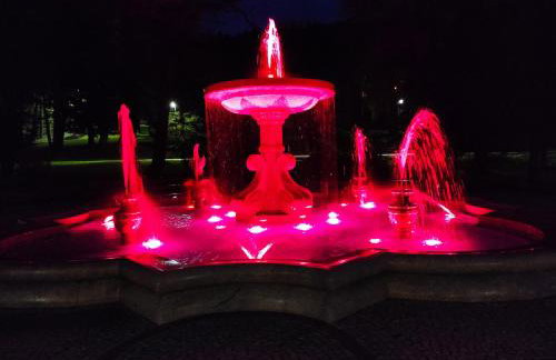 Dębowy Zakątek - Foto 35