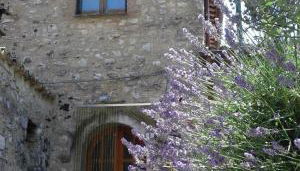 Agriturismo Terramia - Foto 5