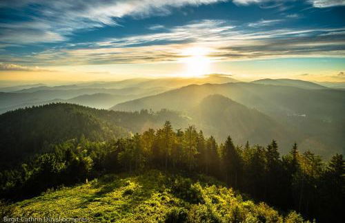 Schwarzwald-Traum mit Pool und Sauna - Foto 6