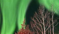 Whole House Aurora View with Hot tub, Sauna and AC - Photo 2