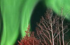 Whole House Aurora View with Hot tub, Sauna and AC - Photo 2