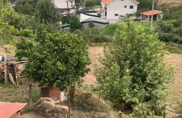 Casinha do Riacho - Foto 12