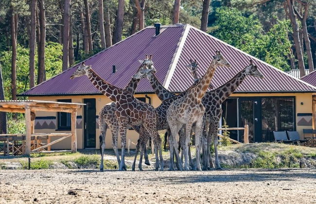 Safari Resort Beekse Bergen - Foto 56