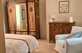 Musa Paradisiaca - Foto 19