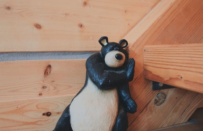 Denali Wild Stay - Foto 68