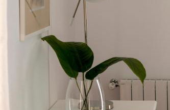 Quinta do Jasmim - Photo 17