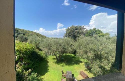 Il Fontino Capalbio - Foto 10