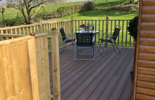 Cosy dog friendly lodge with an outdoor bath on the Isle of Wight - Foto 16