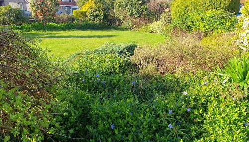 THE ELFIN- Lovely 1 Bedroom - Free Parking - Foto 3, Garden