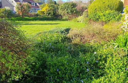 THE ELFIN- Lovely 1 Bedroom - Free Parking - Foto 3