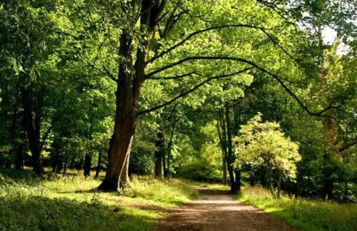 Loxley Barn, 1-bed Cottage Retreat - Photo 61