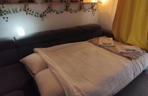 Appartement cosy, calme et lumineux à Strasbourg - Foto 28