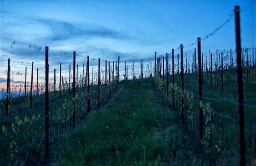 Ciabot Apartments - Foto 21