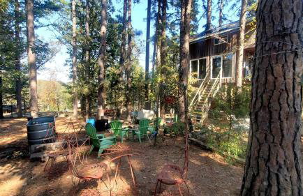 Magical Tree House Rental Nestled in the Woods on Farm Retreat near St. Louis, Missouri - Foto 35