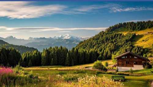 studio cabine Praz de Lys - Foto 5