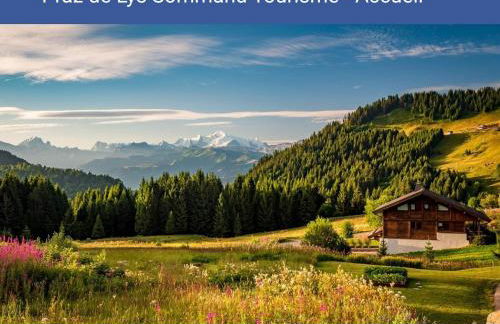 studio cabine Praz de Lys - Foto 5