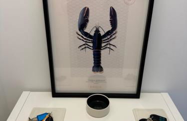 Appartement Design X - Hyper Centre - Parking Privé - Terrasse Plein Sud Quimper - Photo 27