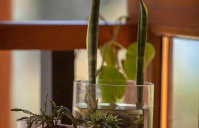 Origen de la Bahia - Apart hotel - Foto 19