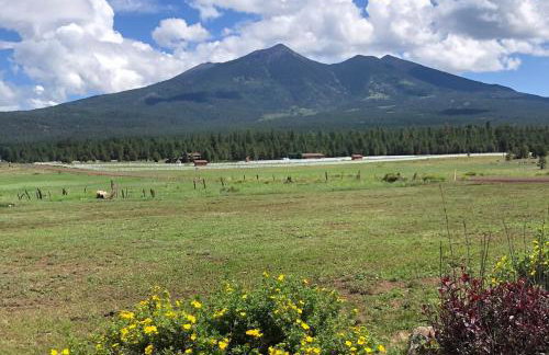 Change of Altitude 7320 - Foto 1