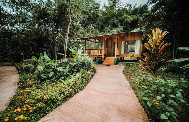 HOSTERIA KUMBHA MELA - Foto 2