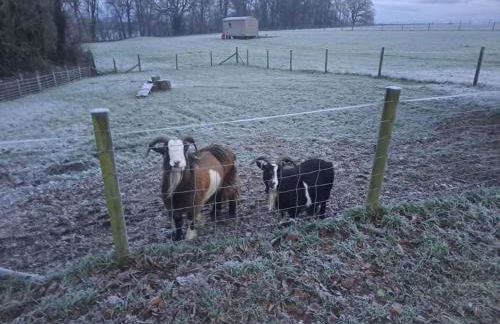 Luxury Shepherds Hut set in a countryside setting - Foto 24