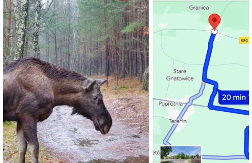 Pod Kasztanami blisko A2 - Foto 20