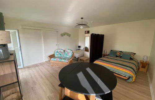 Ancienne ferme Rougerie - Foto 1