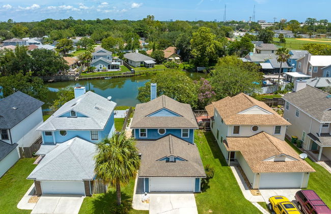 Paradise Palm - Foto 38