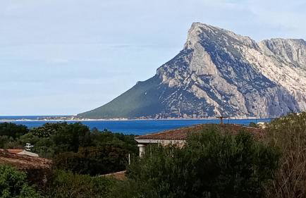 Flamingo's Home - Photo 9