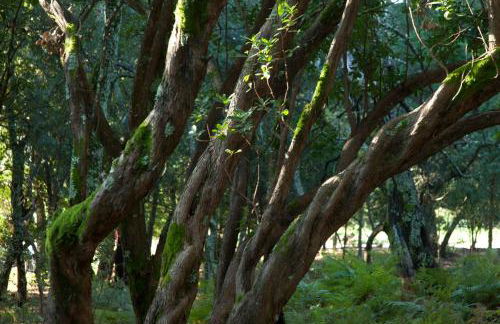 Quinta Do Sobral - Foto 29