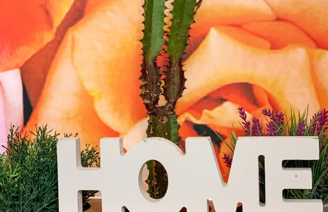 Luxury-1bed Apartment With Porch in Greece - Foto 12