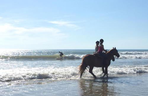 Gîte de l'océan, 3 étoiles - Les cabanes océanes, Montalivet - Foto 27