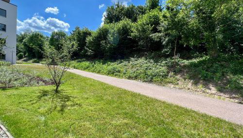 Studio Tiengen - zentraler Neubau - Barrierefrei im Erdgeschoss - Foto 3