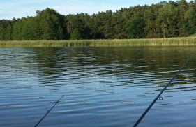 Ferienhaus Kerstin - Foto 30